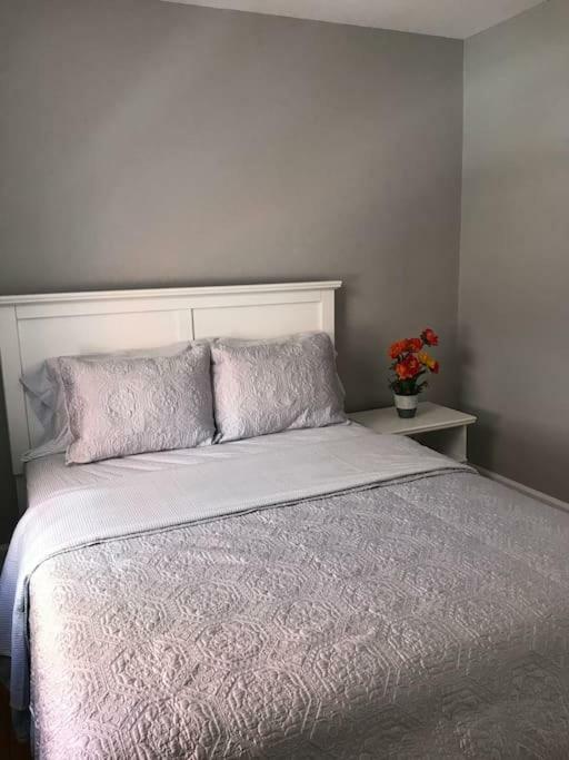 Apartamento Bright, Clean, Private. In The Heart Of Downtown! Parking, Wi-Fi And Netflix Included Otawa Exterior foto
