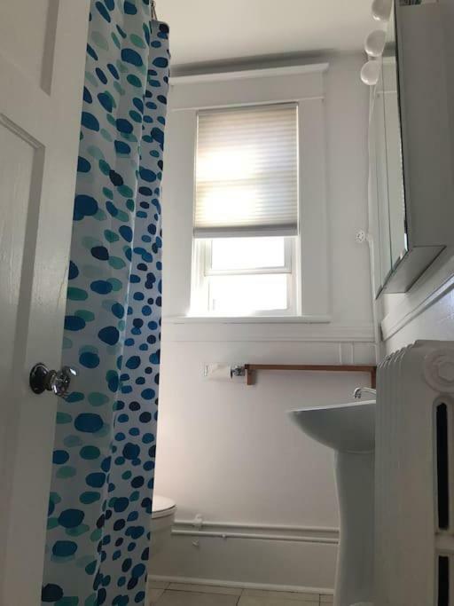 Apartamento Bright, Clean, Private. In The Heart Of Downtown! Parking, Wi-Fi And Netflix Included Otawa Exterior foto